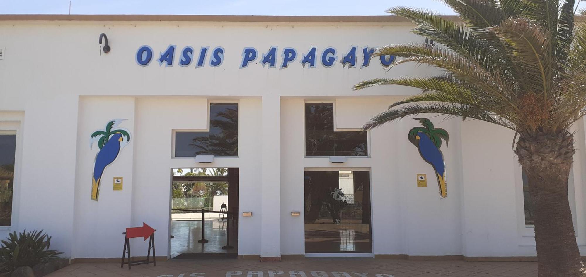 Oasis Waves House Papagayo Corralejo Exterior foto